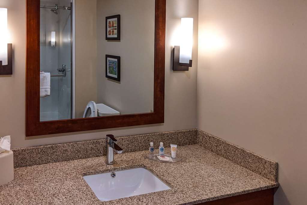 Comfort Suites San Antonio Ft Sam Houston-Sammc Area Room photo